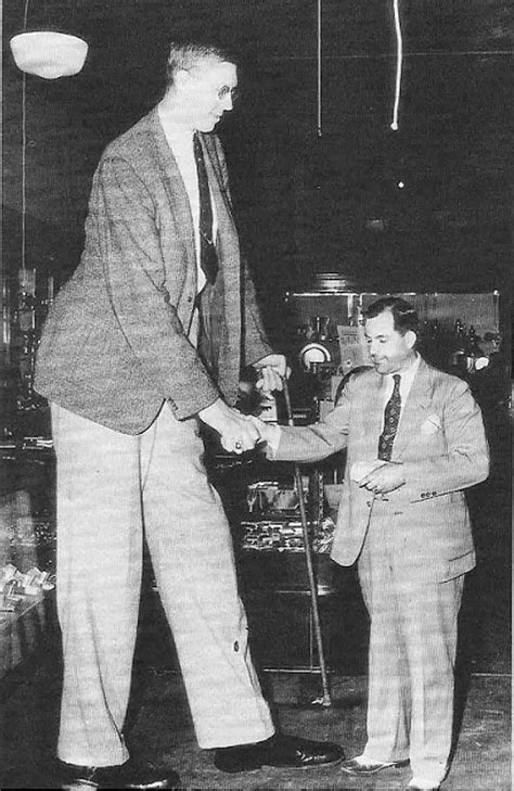 tallest man robert wadlow|robert wadlow height chart.